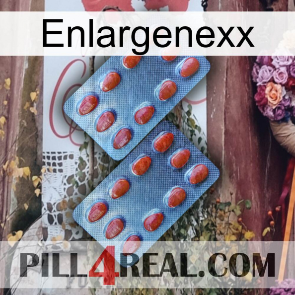 Enlargenexx 05.jpg